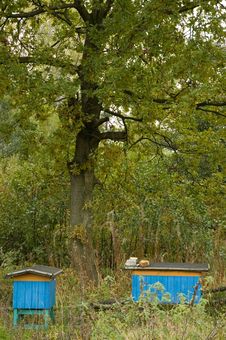 Beehives Stock Images Beehives Stock Images