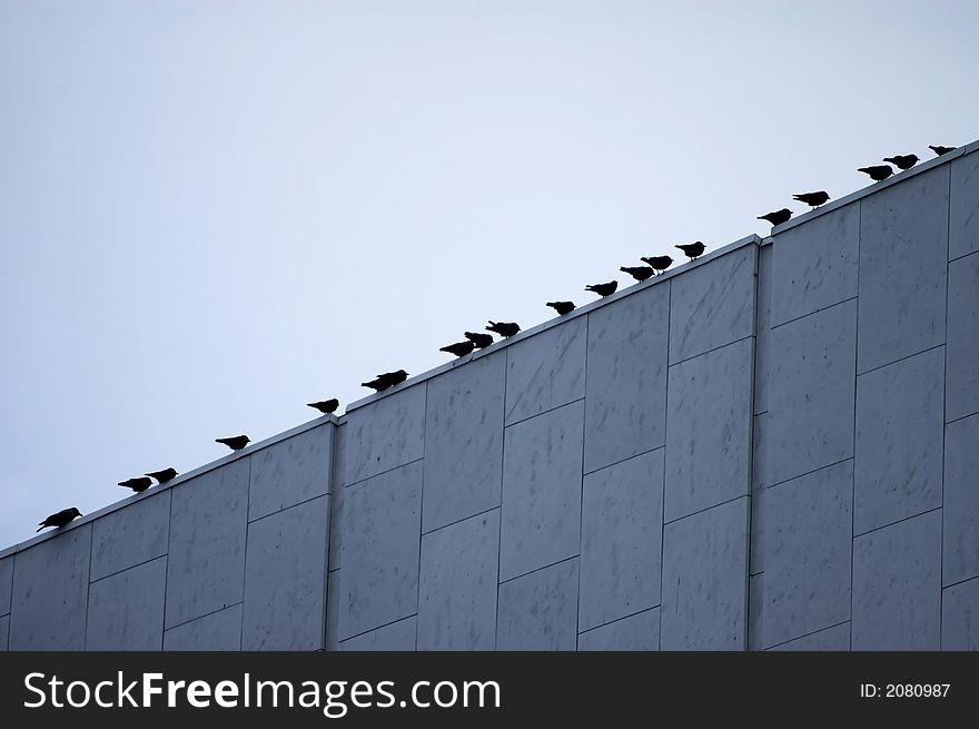 A row of birds sitting on the roof of finlandia hall. A row of birds sitting on the roof of finlandia hall