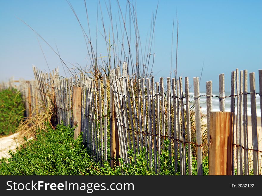 Old Fence at the Beach