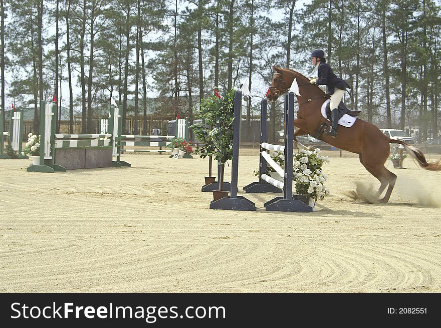 Horse and rider competing in  horse show. Horse and rider competing in  horse show