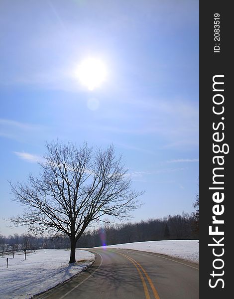 Single tree along road side with sun and blue sky