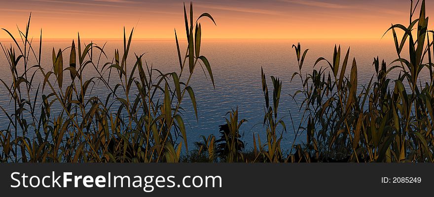 Water plants at sunset - 3D scene. Water plants at sunset - 3D scene.