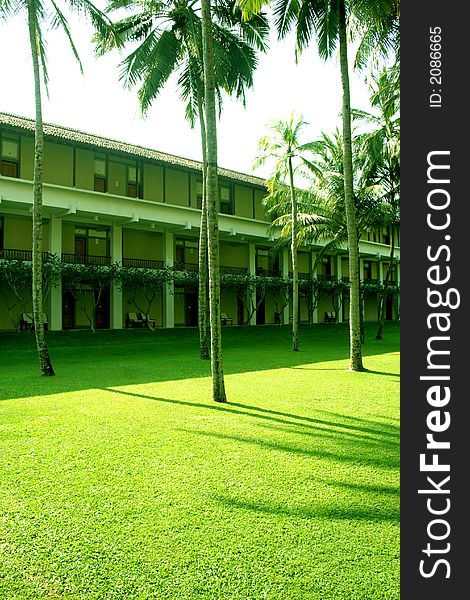 Green Grass and coconuts in a hotel