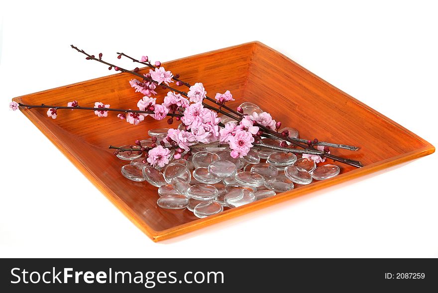 Cherry Blossoms in a Bamboo Bowl. Cherry Blossoms in a Bamboo Bowl