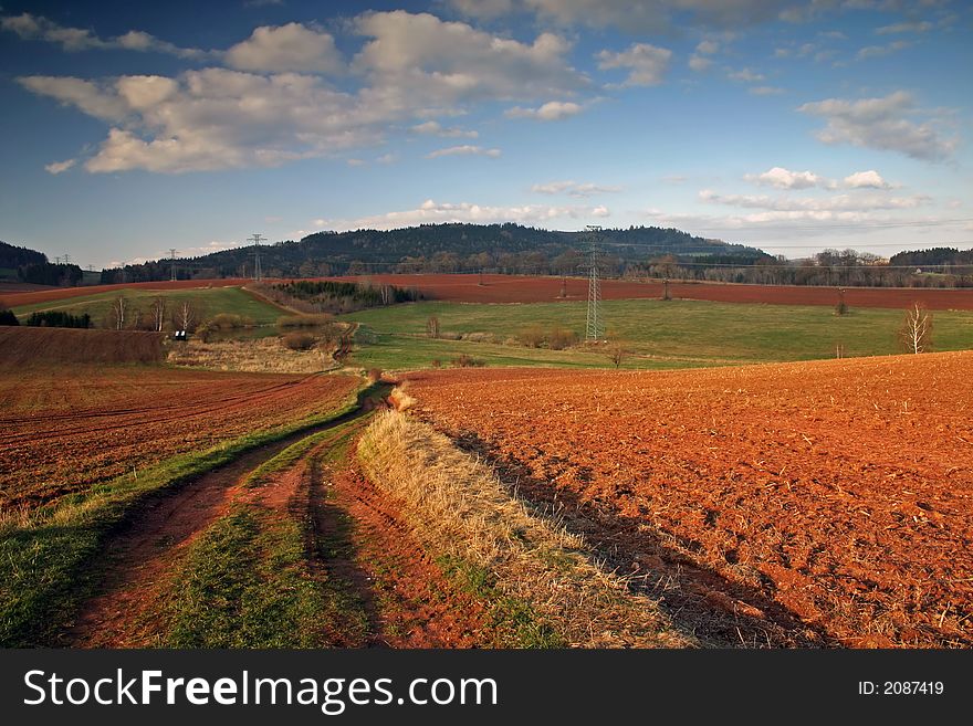 Road in the fields in evening