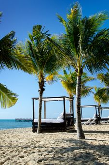Beach Cabana Bed And Palm Trees Royalty Free Stock Images