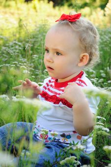 Baby With Red Bow On The Meadow Stock Image Baby With Red Bow On The Meadow Stock Image