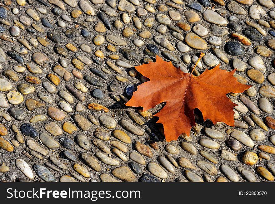 A red leaf in the cobblestone road. A red leaf in the cobblestone road