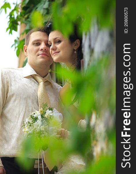 View of bride and groom through the blurred leaves. View of bride and groom through the blurred leaves
