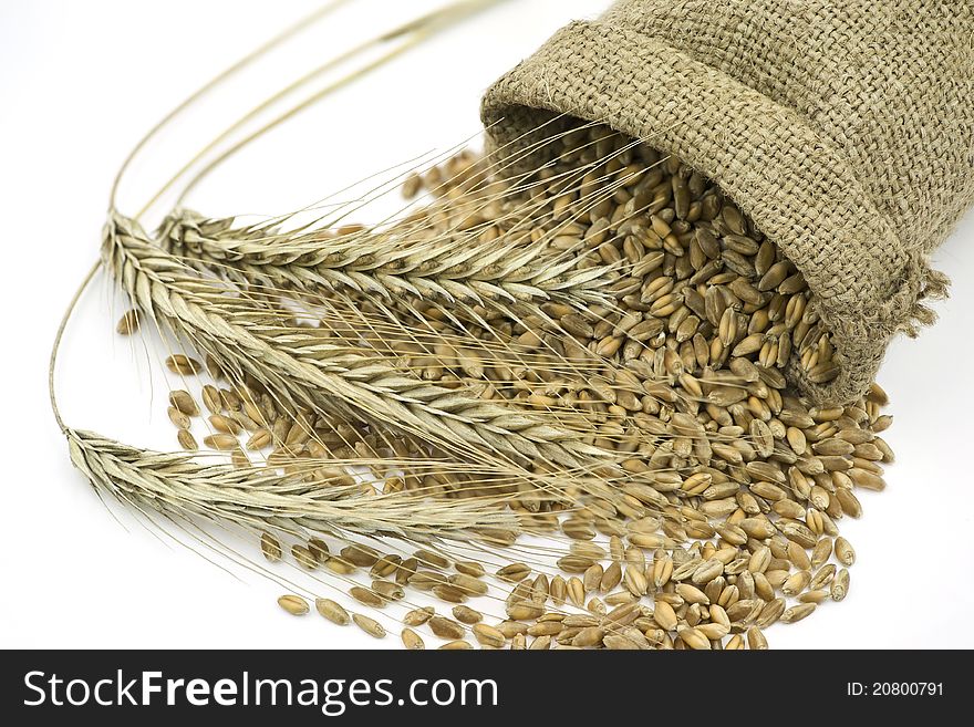 Three rye ears beside liying sack with grain on the white background. Three rye ears beside liying sack with grain on the white background