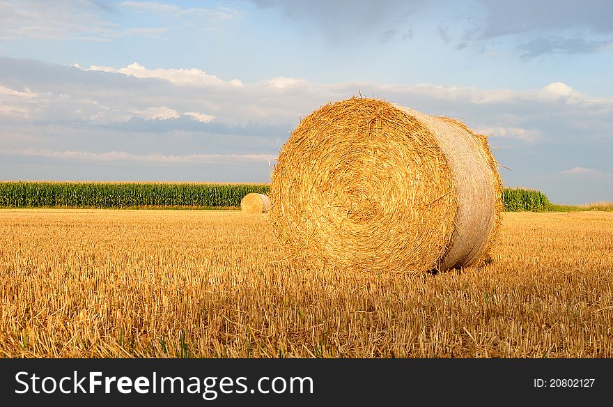 Golden hay bale on a field. Golden hay bale on a field.