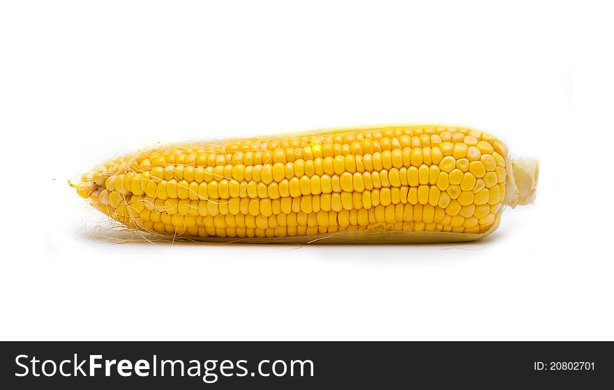 Fresh corn on the white background