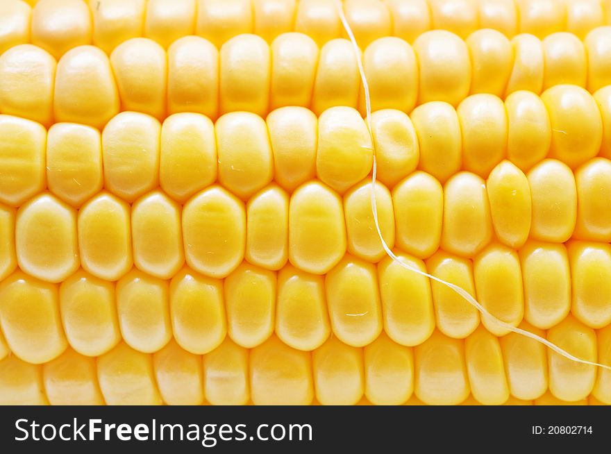 Corn background texture in yellow color