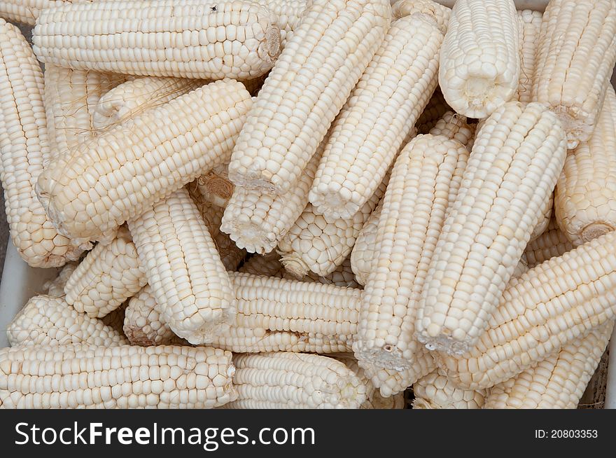 Raw corn, good ingredient for food.