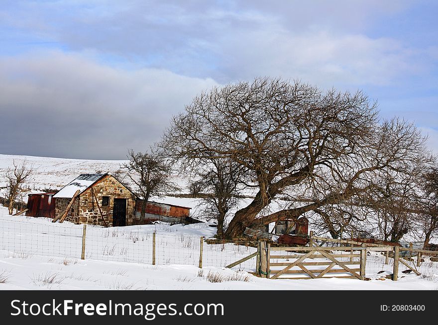 Winter On The Welsh Hills