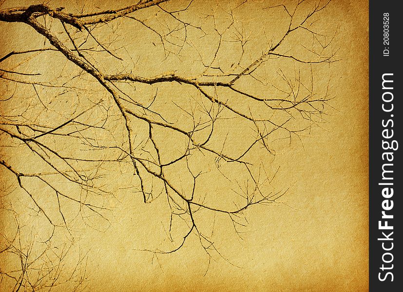 Vintage paper textures. tree without leaves