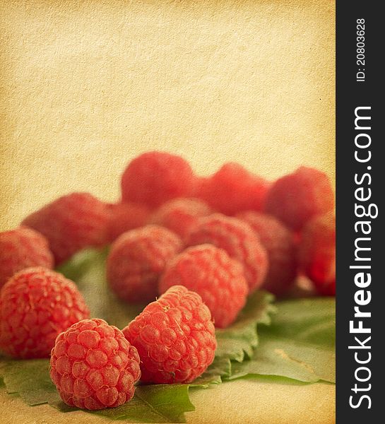 Vintage paper texture with raspberries