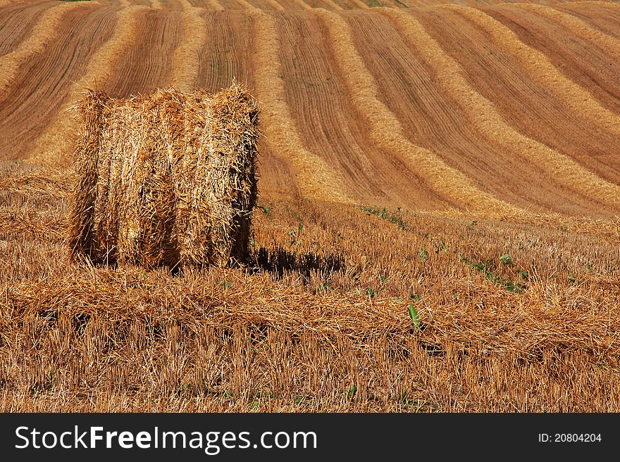 Hay bale on cropped field in summer