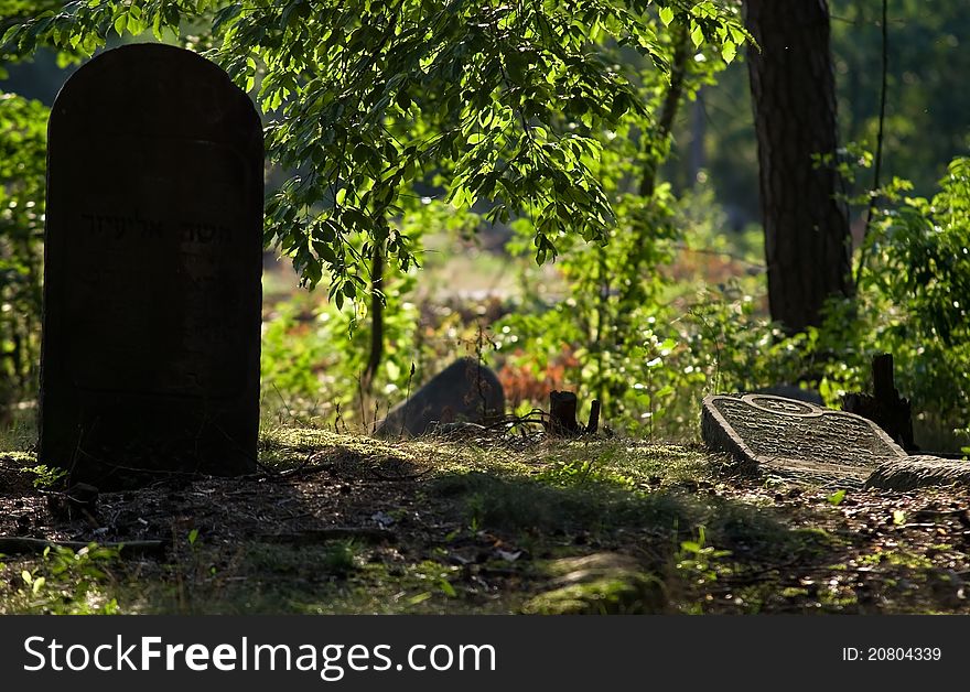 Jewish cemetery in Otwock &x28;Karczew-Anielin&x29