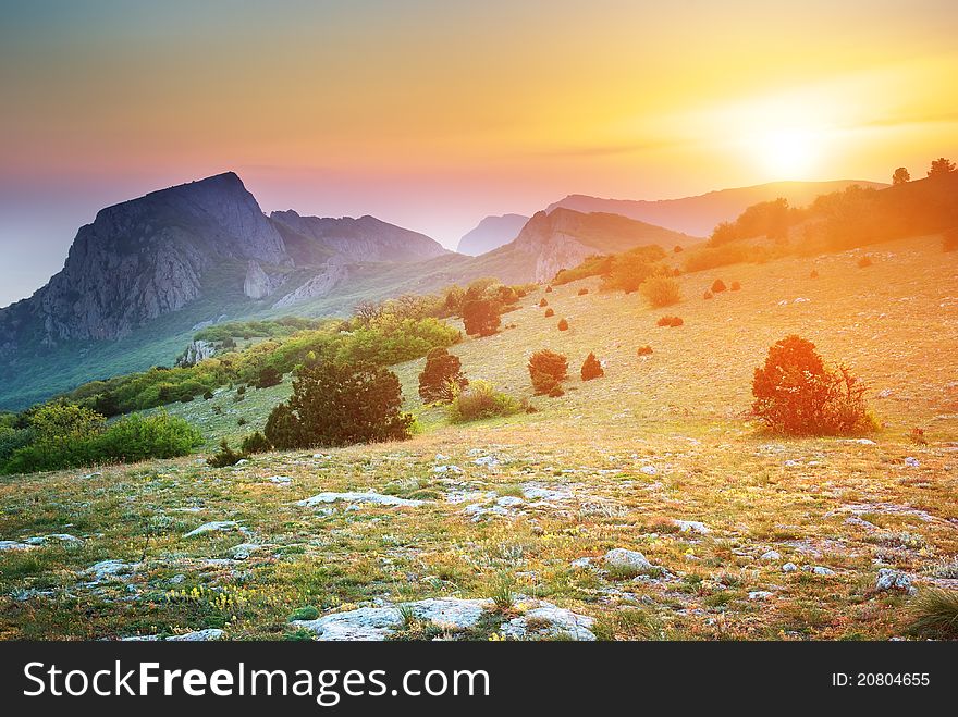 Mountain landscape. Composition of nature.