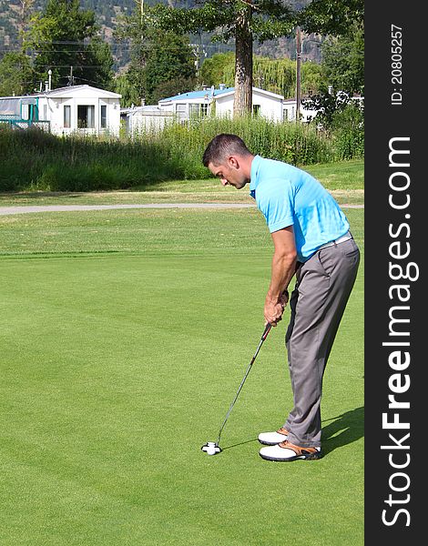 Young golfer preparing for his putt on the green. Young golfer preparing for his putt on the green