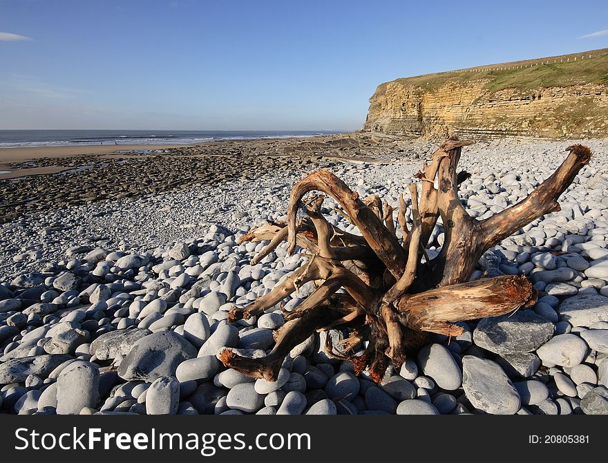 Dunraven Bay, Southerndown with driftwood deposited on the blue pebbles. Dunraven Bay, Southerndown with driftwood deposited on the blue pebbles.