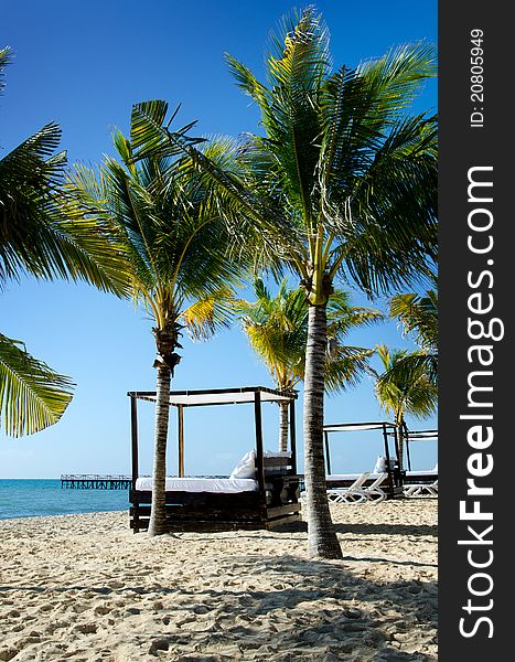 Image of a beautiful beach scene, featuring cabana beds, palm trees, beach, ocean and blue sky. Image of a beautiful beach scene, featuring cabana beds, palm trees, beach, ocean and blue sky