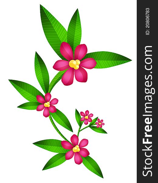 Illustration of Laurel branches flourished, isolated