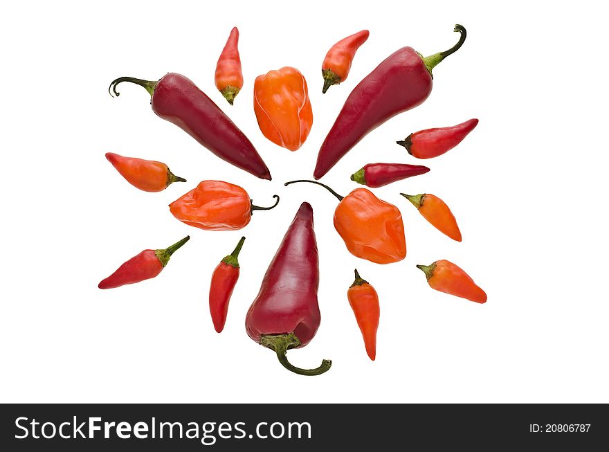 Circular grouping of various hot peppers. Circular grouping of various hot peppers