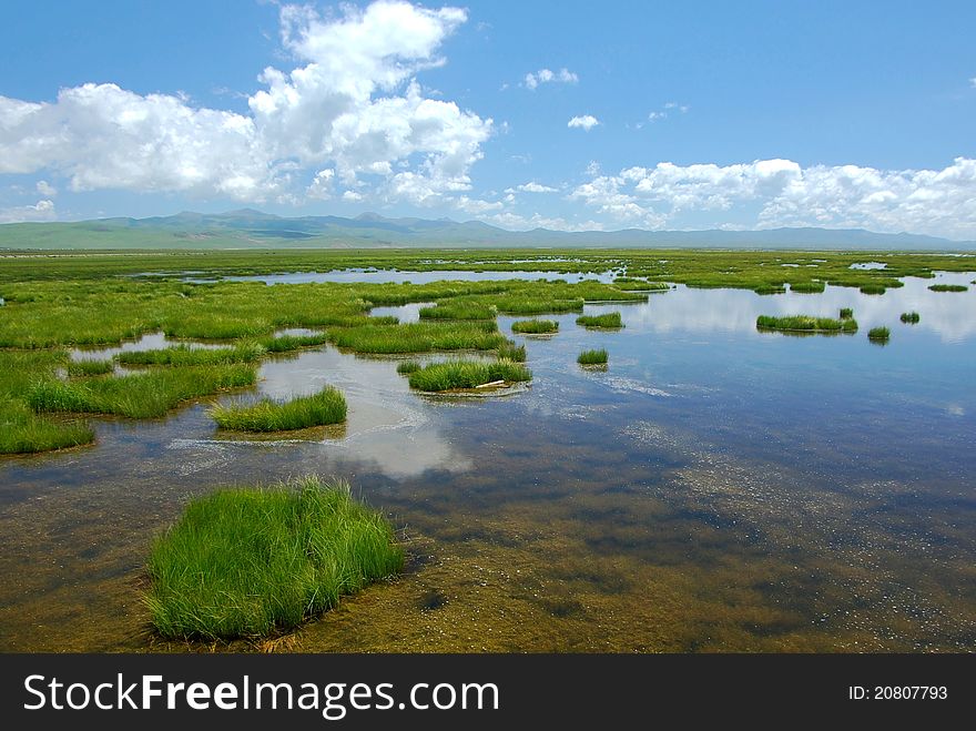 This landscape is shot at a national wetland reserve in northwest Sichuan province, China. This landscape is shot at a national wetland reserve in northwest Sichuan province, China.