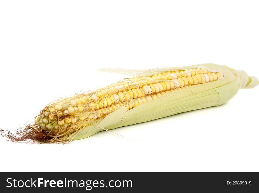 Ear of corn on a white background