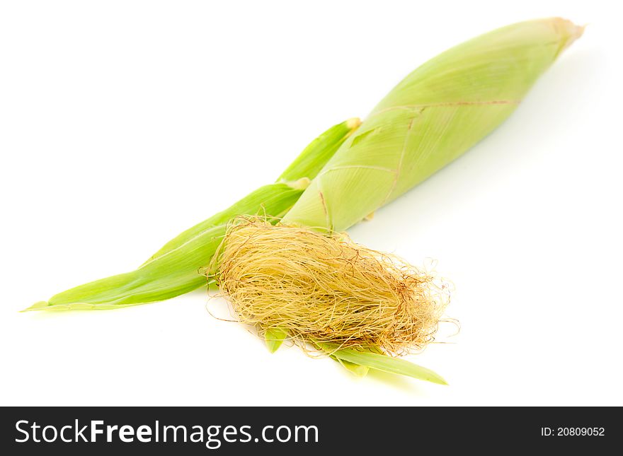 Ear of corn on a white background