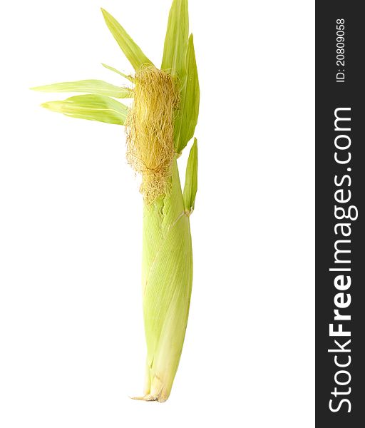 Ear of corn on a white background