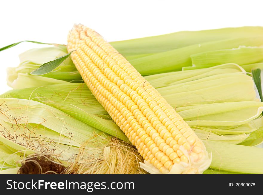 Ear of corn on a white background