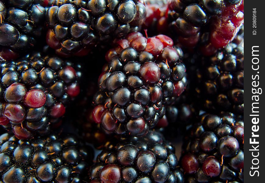 Macro image of ripe and fresh blackberry. Macro image of ripe and fresh blackberry