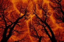 Abstraction In Fiery Colors Stock Image Abstraction In Fiery Colors Stock Image