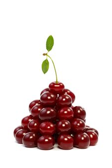 Cherry Group Royalty Free Stock Photo Cherry Group Royalty Free Stock Photo