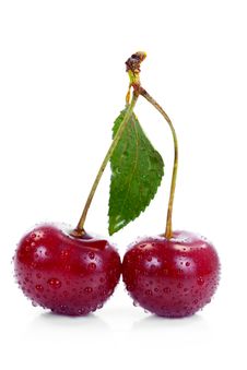 Wet Cherries Stock Photo Wet Cherries Stock Photo