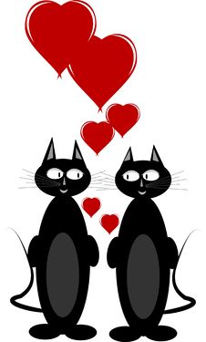 Romancing The Cats Stock Images