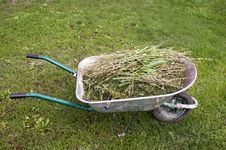 Wheelbarrow Full Of Compost Stock Photo