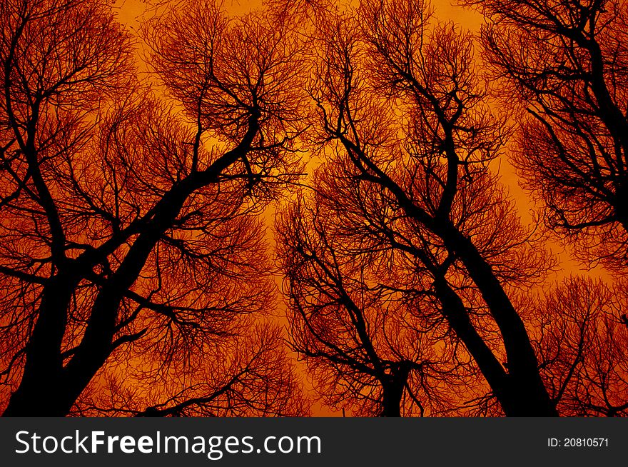 Abstraction background in fiery colors. Abstraction background in fiery colors