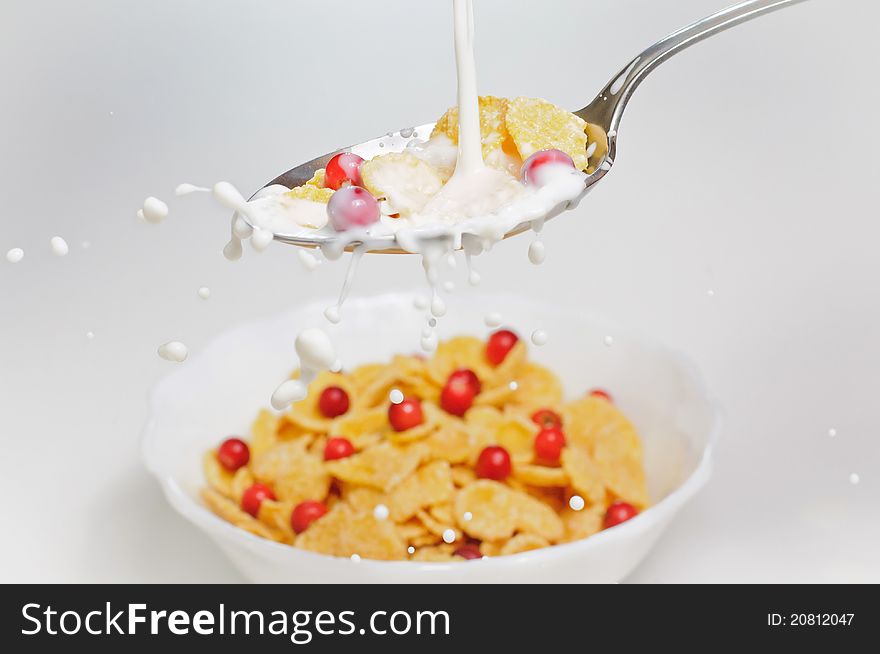 Corn flakes with milk splash and cowberry in spoon