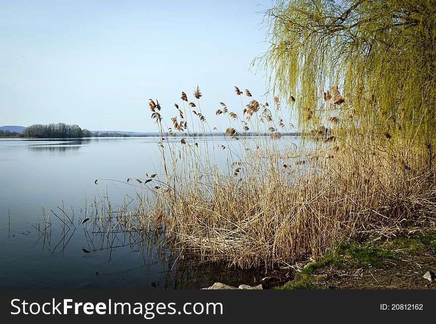 Peace On The Lake