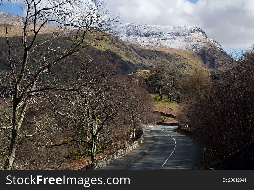 A tree lined winding road with white lines and pavement leads to the semi snow covered mountains in the distance. A tree lined winding road with white lines and pavement leads to the semi snow covered mountains in the distance.