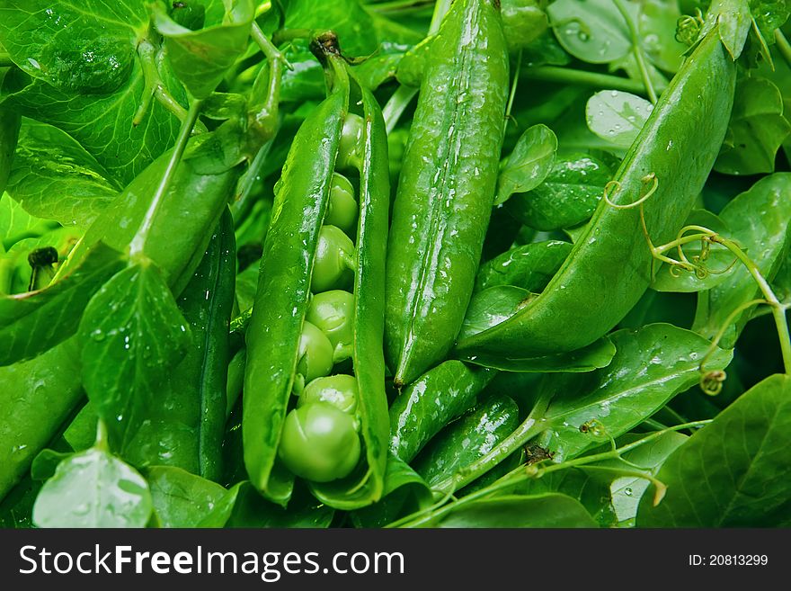 Fresh green peas