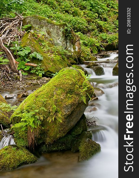 Stream in a mountain forest, summer