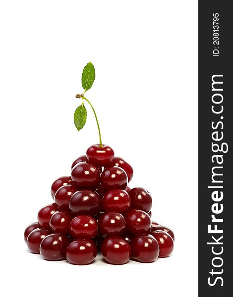 A group of fresh sour cherries on white background. A group of fresh sour cherries on white background