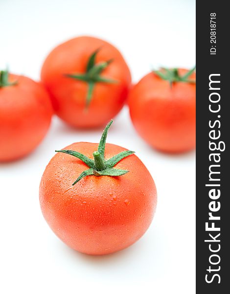 Group of tomatoes with white background