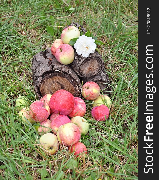 Apples lie in a grass and on the foozle. Apples lie in a grass and on the foozle