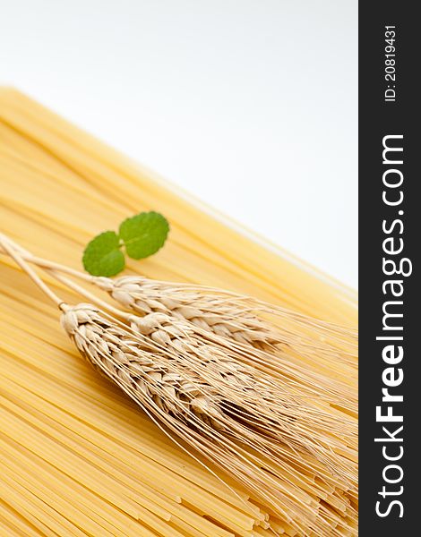 Ingredients of a meal of spaghetti on a white background